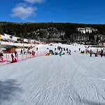Isard Pyrenees 2000 - 300m Des Pistes Bolquère