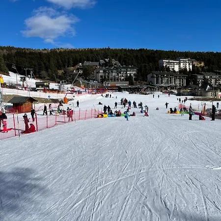 Isard Pyrenees 2000 - 300m Des Pistes Bolquere Pyrenees 2000